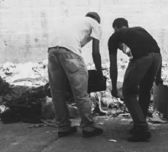 Captura de pantalla 2025-07-28 121844