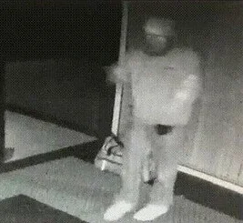 Captura de pantalla 2026-03-19 022235