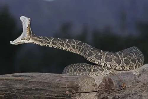 6db82114-efce-4a1b-acbc-2f6f045e3a35