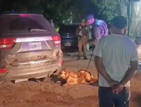 controles-e1766527577991