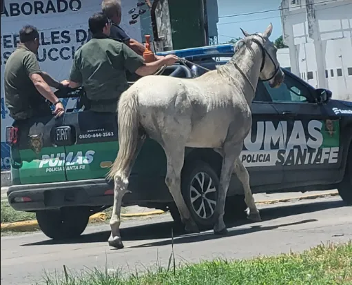 Captura de pantalla 2025-12-18 181621