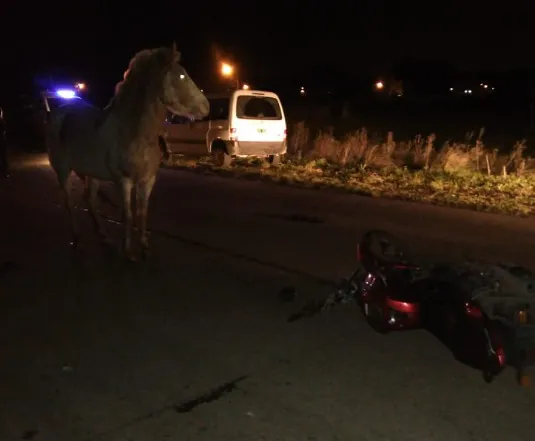 d50852bf-cc0d-4c9c-9b5b-dd6046c11735