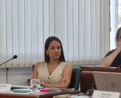 Captura de pantalla 2025-12-18 142444