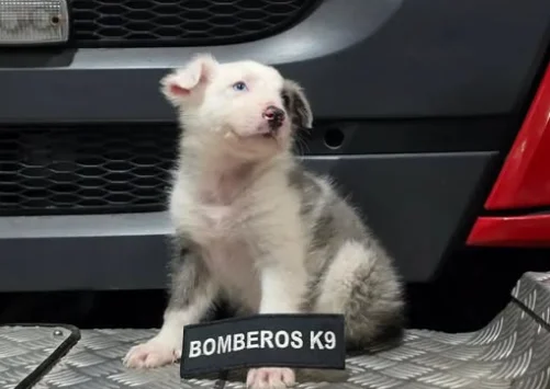 Captura