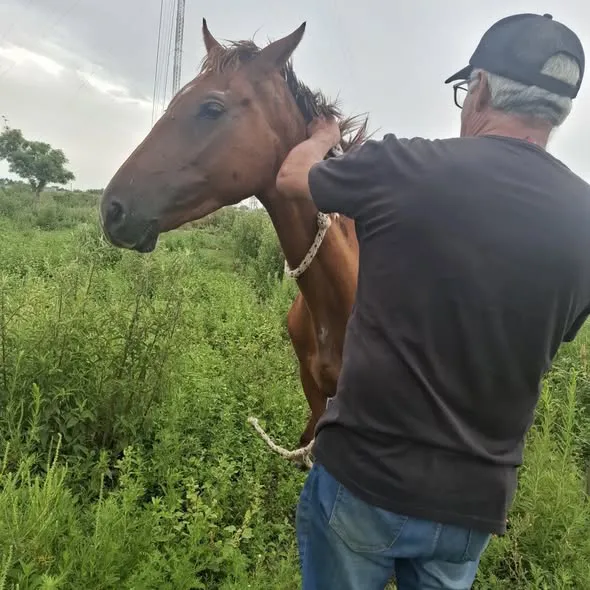 612964811_17906097069335957_3677865633708515901_n