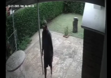 Captura de pantalla 2025-12-28 141934