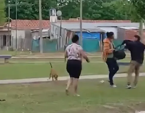 Captura de pantalla 2025-10-30 154455