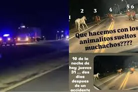 descarga (10)