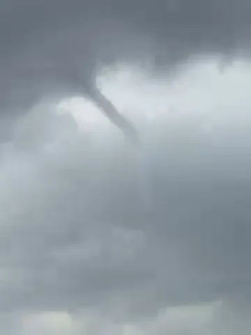 WhatsApp Video 2025-12-02 at 00.12.06