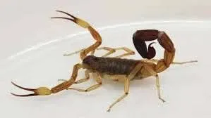 05d41d98-af1b-4545-938e-f00e5df94543