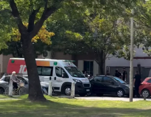 Captura de pantalla 2026-03-26 194217