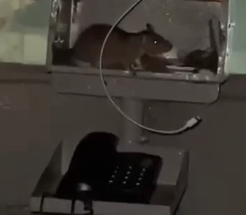 Captura de pantalla 2026-03-15 234241