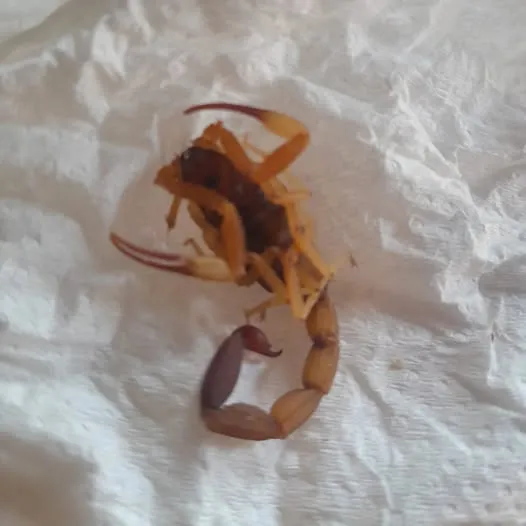 9028044e-e446-41fc-abee-8beeb18d1a10