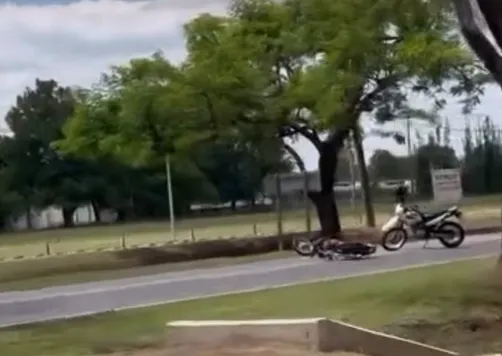 Captura de pantalla 2025-10-30 115438