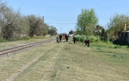 caballosss