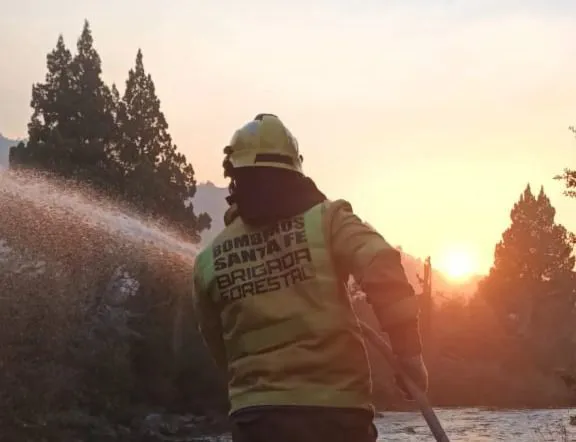 c1155a3c-5f71-4ee6-85a8-d20818d30f52