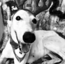 Captura de pantalla 2026-01-02 165546