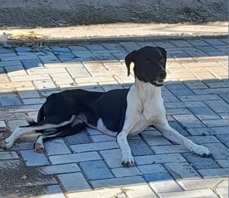 Captura de pantalla 2025-12-31 130923