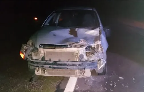 597114021_1444839130980771_5802730828229561800_n