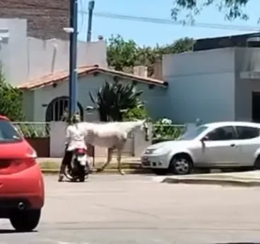 Captura de pantalla 2025-12-18 181454