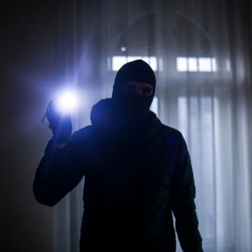 ladron_500_x_500_px