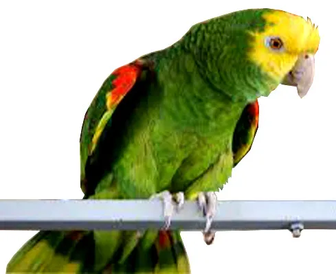 3d05b7bd-56c2-43ab-8727-400a0aebb1f9