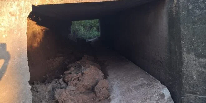 lehmannpeligrodederrumbe-660x330