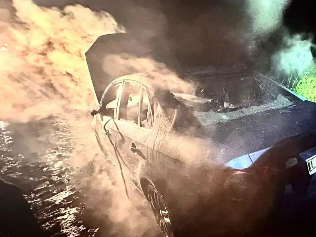 d8961218-97f5-46a3-8c22-d64000bf621c