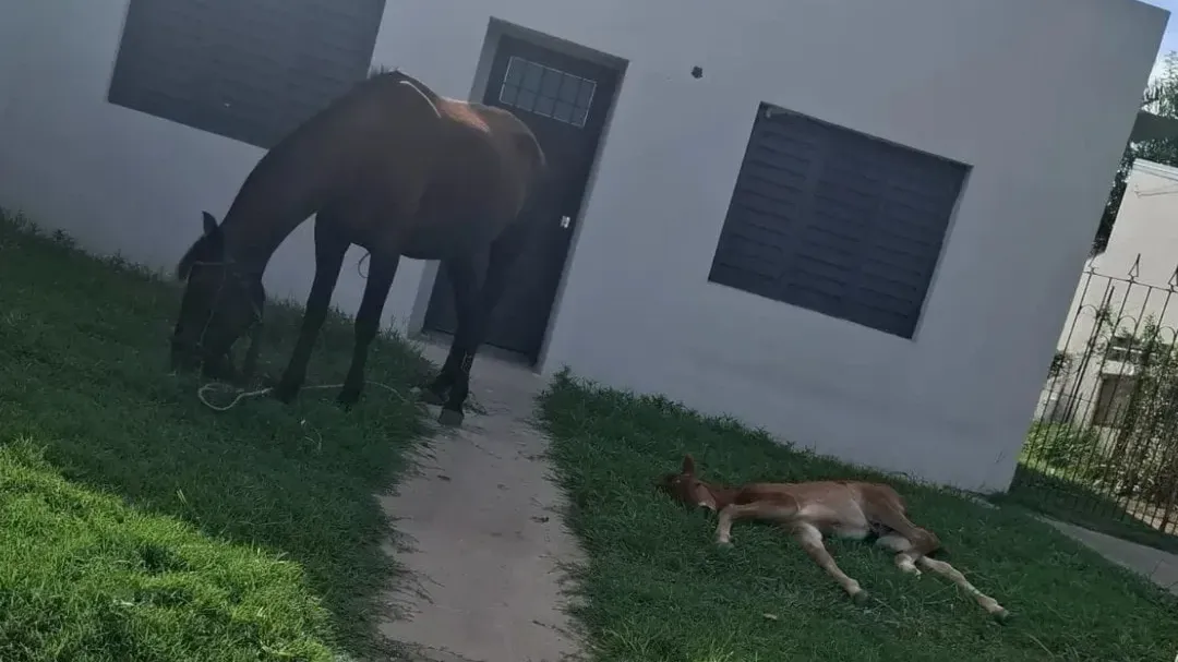 aa5a8c7a-ff54-4096-94e2-e27d426028ba