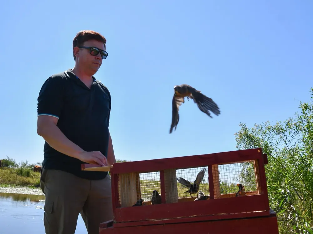 77c47a87-d19d-4ea3-bc8f-74ac8b5053e0