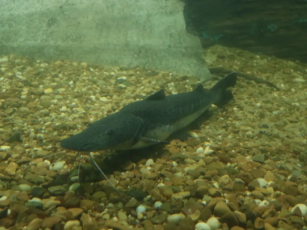 dbab719f-2e6c-48e5-8042-6dd640df86cc