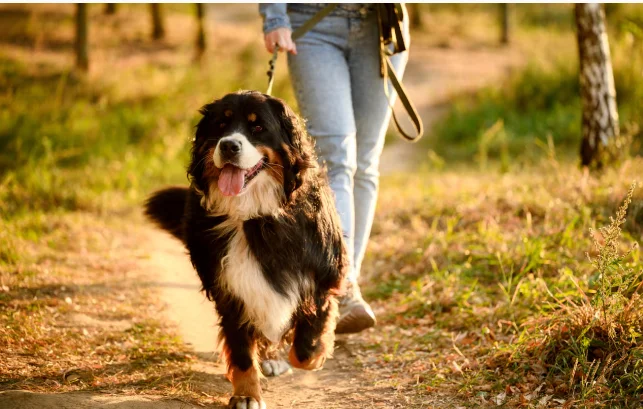 Captura de pantalla 2026-02-23 131246