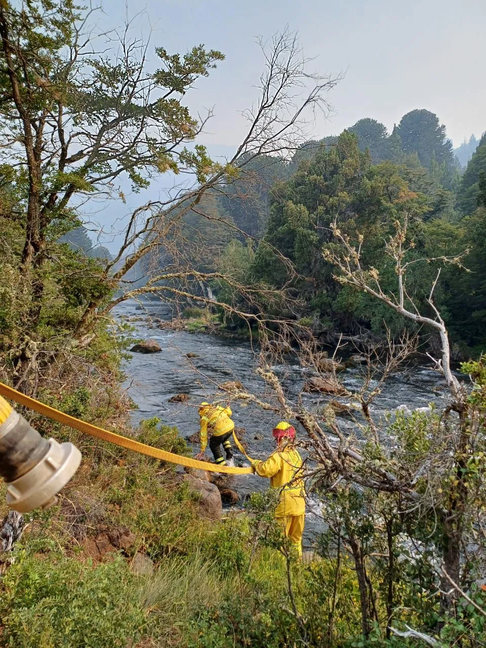 43c299ca-09eb-4d70-a939-85e0eee22761