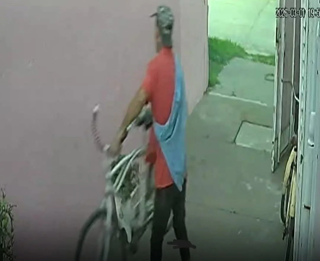 51bb4f87-ff3a-4eb9-9962-44fd3ea400fc