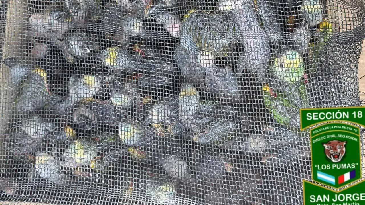 9fe4a7a5-31ac-4b06-9b46-790be4699d0c