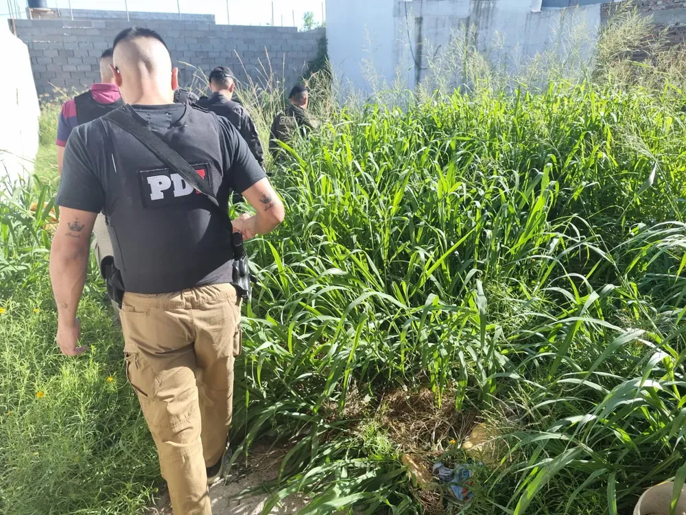 5f152f29-878c-4907-aa61-696d4411651a