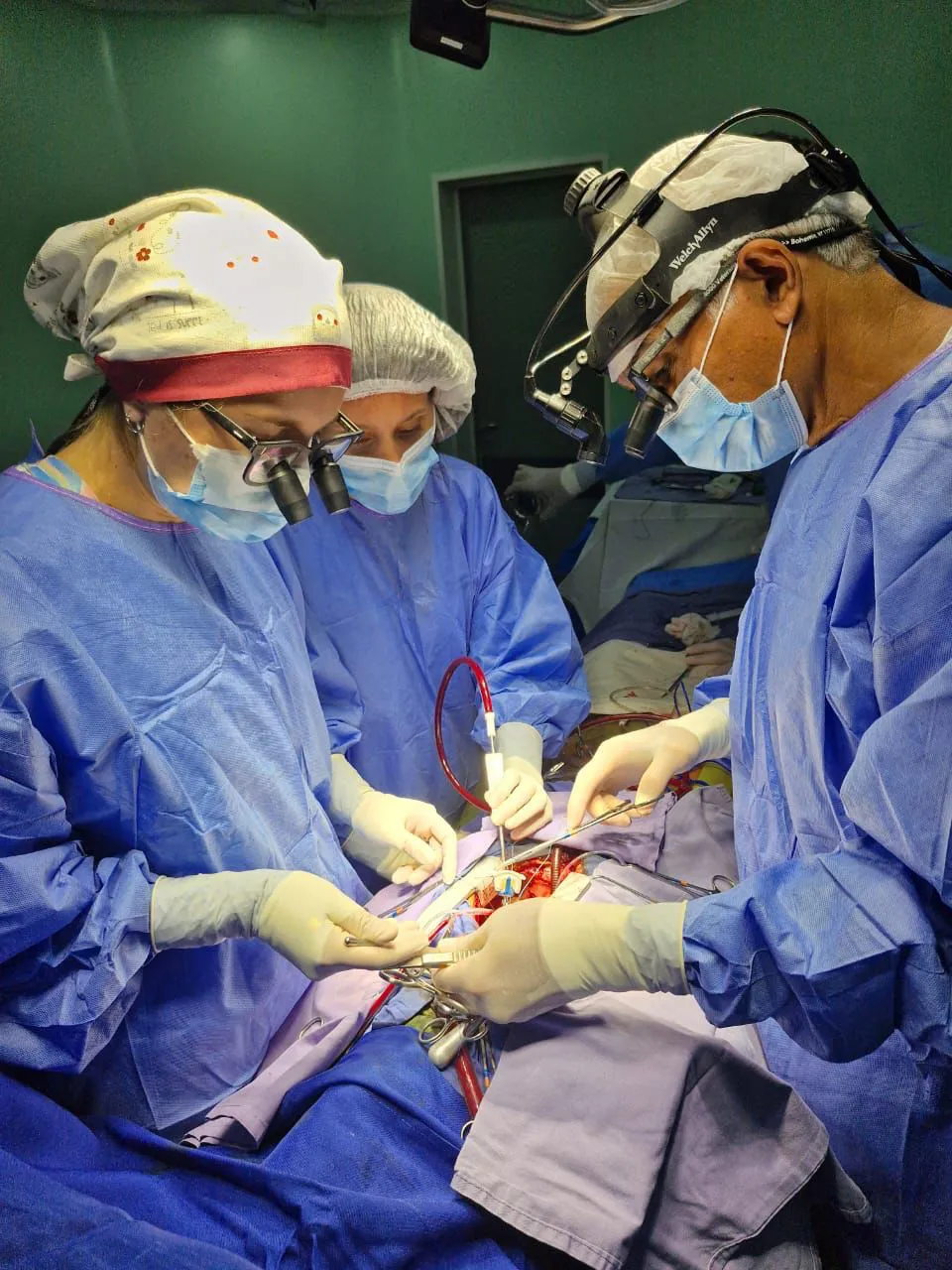 98ced205-2ebd-4c7e-a931-c6bebefbb2f8