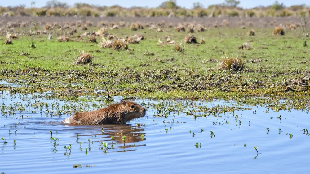 1c44a822-1f31-4a79-aebe-dce965c3887d