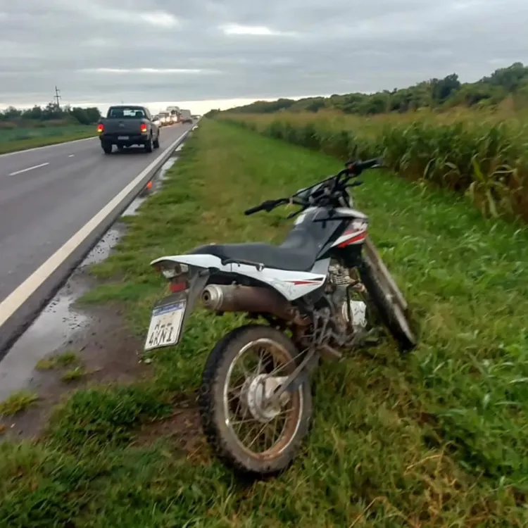 d4c2cda3-26f4-4240-a89b-d735da1f87a5