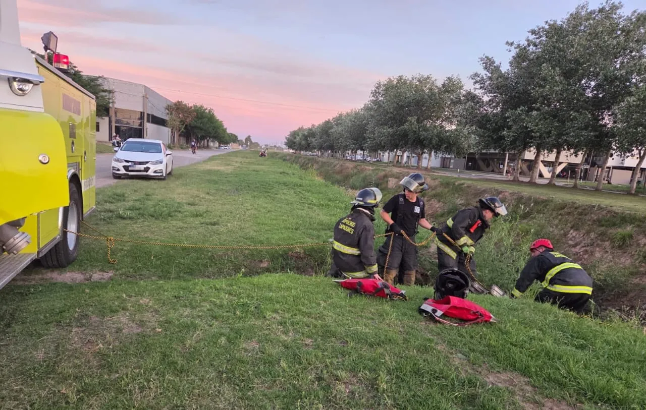 WhatsApp-Image-2025-11-15-at-12.34.24