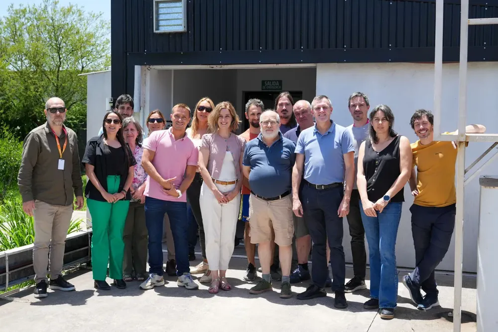 81aea4d9-3562-4e61-a4ec-d0927b7a6e62