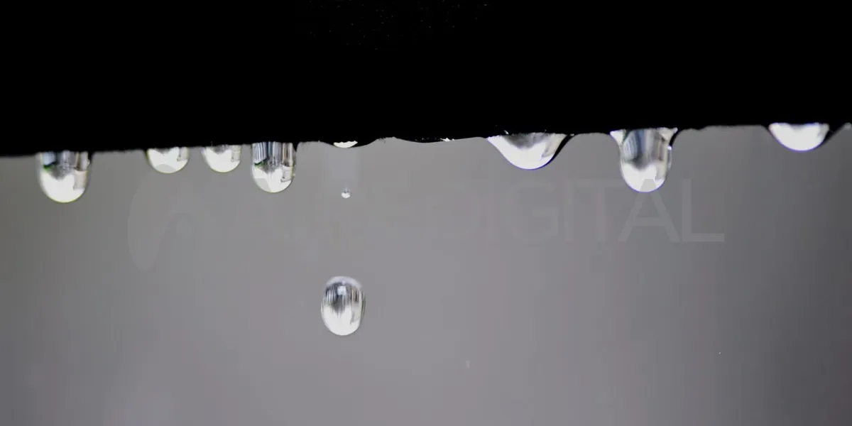 lluvia-rosario