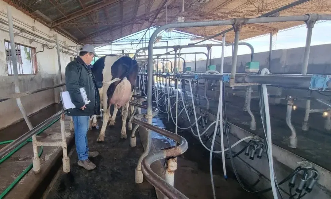 ce8e6f0b-31b5-4c2a-9d3b-b6b1173b67a0