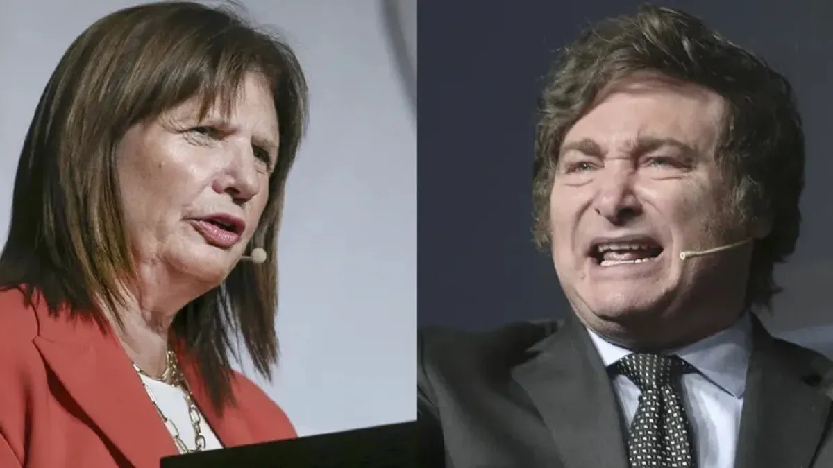 bullrich-mileiwebp