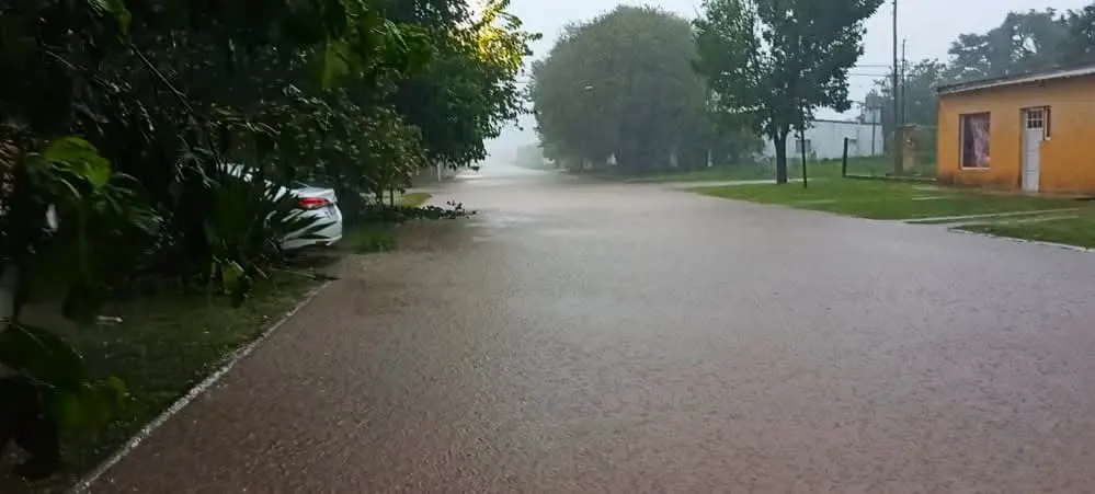 230a6d8a-0bfe-4325-992d-892f63ded351