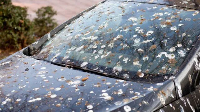 a1e8e7b8-f232-4c06-b67a-9ef577d5062b