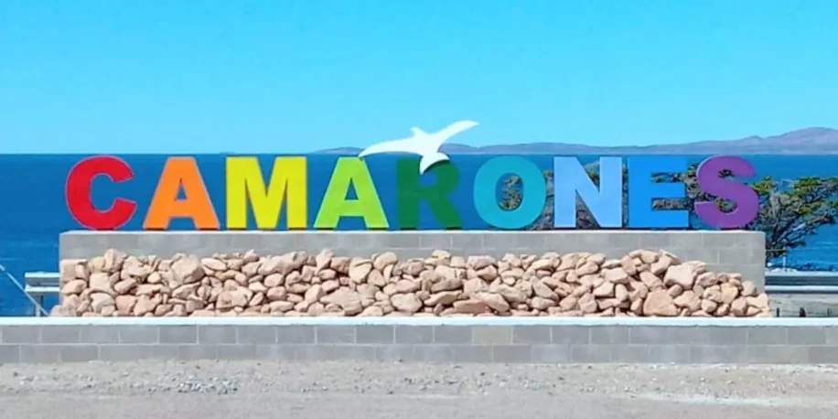 Captura de pantalla 2026-03-03 123039