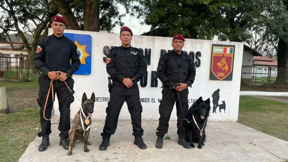 perros-policia-santa-fejpg