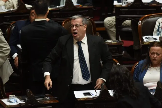 german-martinez-jefe-la-bancada-union-la-patria-diputados