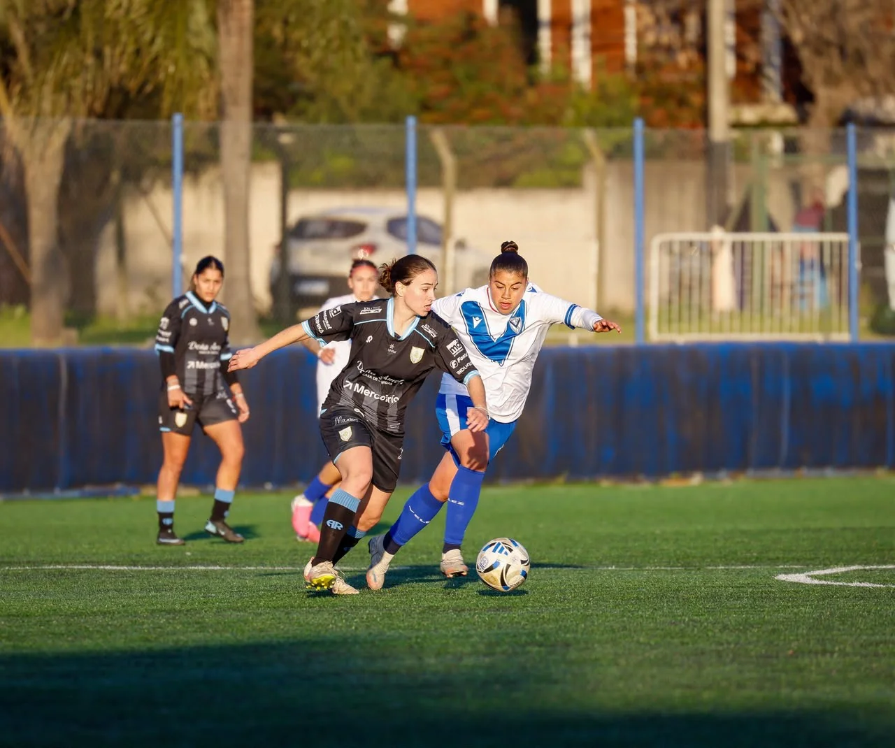 femenino-ar